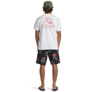 Quıksılver THE ORIGINAL BOARDSHORT MOR Erkek T-shirt