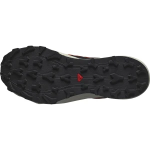 Salomon THUNDERCROSS GTX Erkek Ayakkabı - Siyah 43⅓