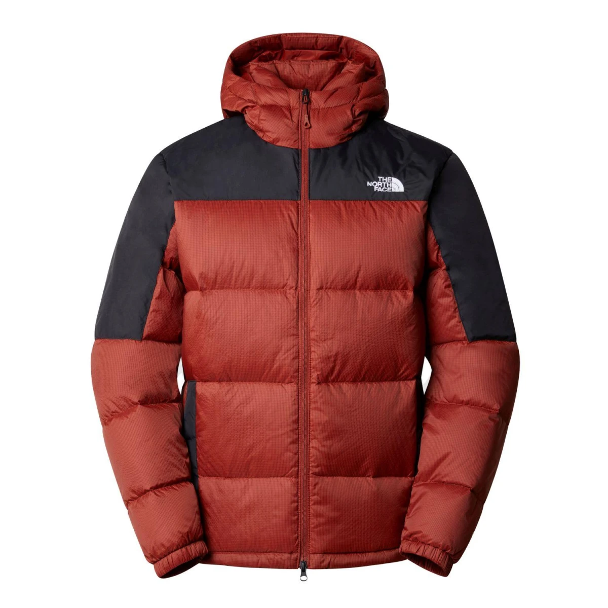 The North Face DIABLO DOWN Kapşonlu K. Tüyü Erkek Ceket