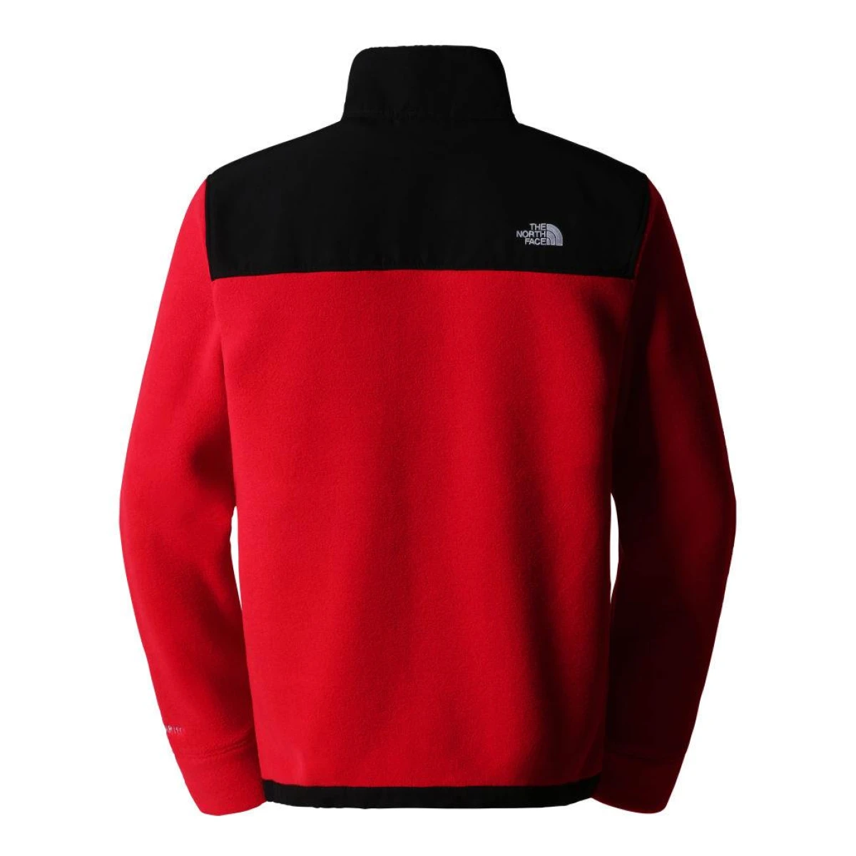 The North Face Erkek ALPINE POLARTEC 200 FZ CEKET