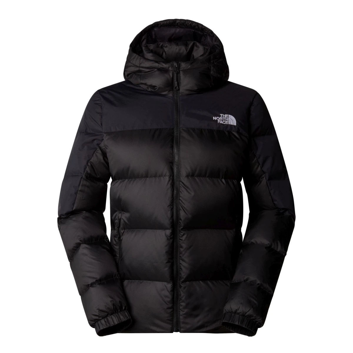 The North Face Kadın DIABLO DOWN 2.0 K. TÜYÜ KAPÜŞONLU CEKET