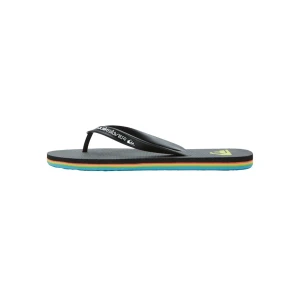 Quiksilver MOLOKAI CORE Erkek Terlik