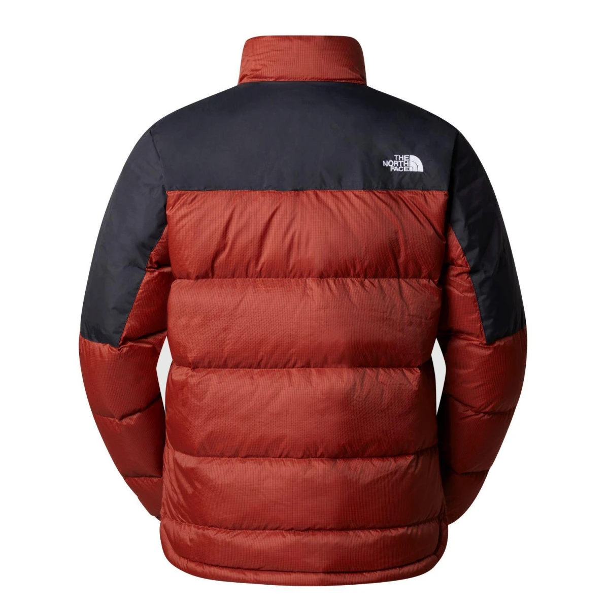The North Face DIABLO DOWN Erkek Mont
