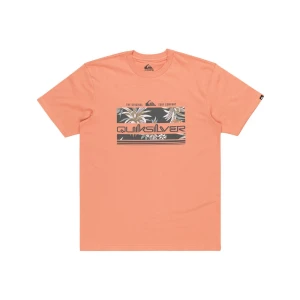 Quıksılver TROPICAL RAINBOW SS Erkek T-shirt