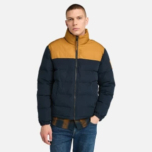 Timberland WELCH MOUNTAIN Durable Water Repellent P Erkek Ceket