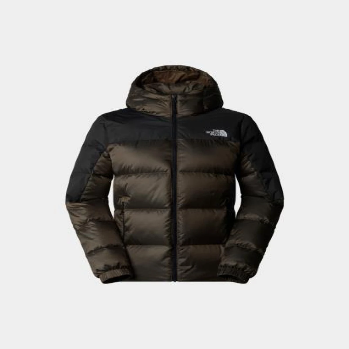 The North Face Kadın DIABLO DOWN 2.0 K. TÜYÜ KAPÜŞONLU CEKET