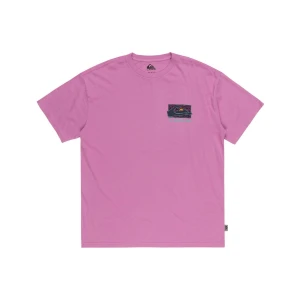 Quıksılver SPIN CYCLE SS Erkek T-shirt