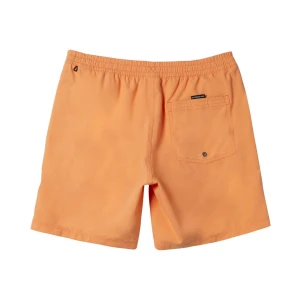 Quıksılver EVERYDAY SOLID VOLLEY 15 Erkek Şort