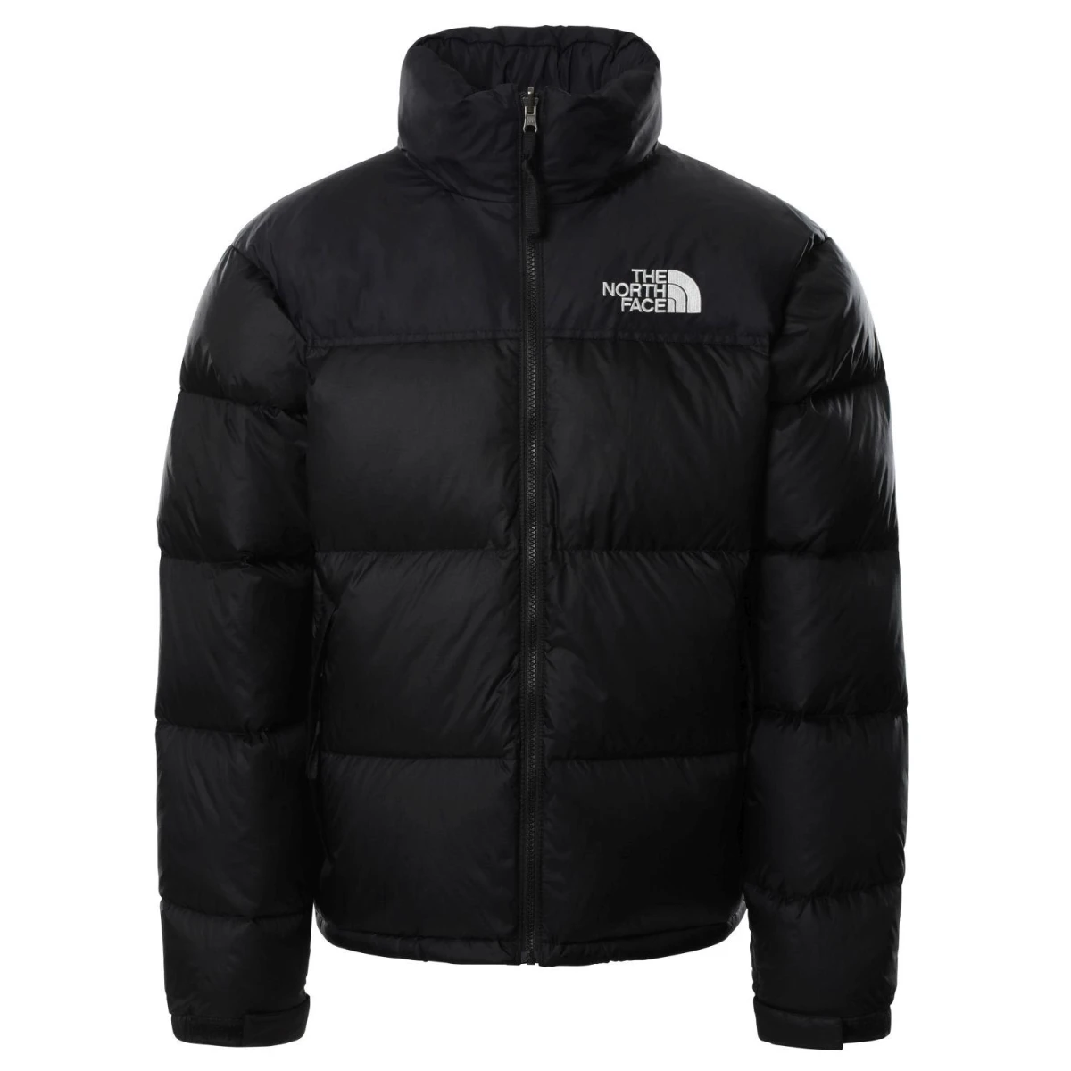 The North Face M 1996 RETRO NUPTSE Erkek Ceket