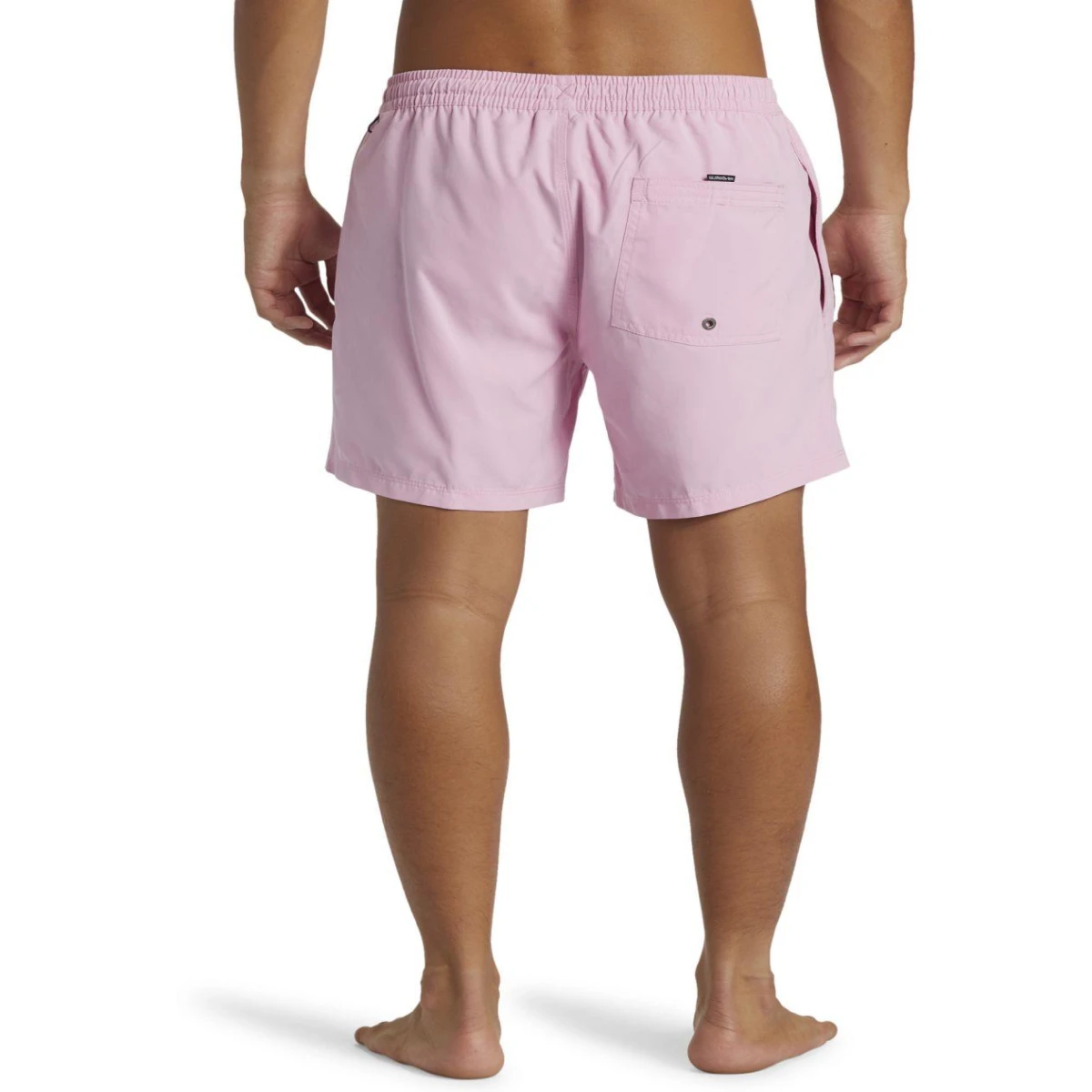 Quıksılver EVERYDAY SOLID VOLLEY 15 Erkek Şort
