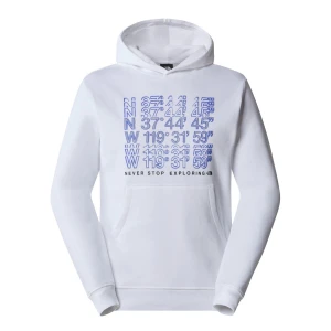 The North Face M SS24 COORDINATES HOODIE Erkek Sweat Shirt