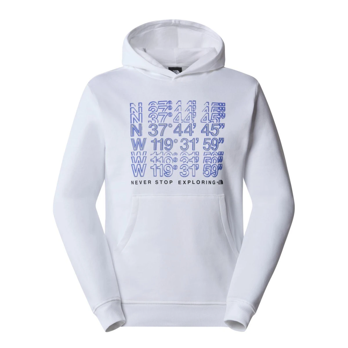 The North Face M SS24 COORDINATES HOODIE Erkek Sweat Shirt