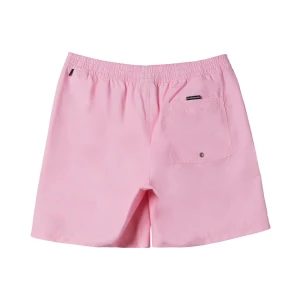 Quıksılver EVERYDAY SOLID VOLLEY 15 Erkek Şort