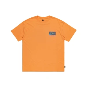 Quıksılver SPIN CYCLE SS Erkek T-shirt