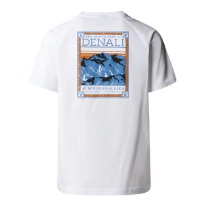 The North Face M S/S NORTH FACES TEE Erkek T-Shirt