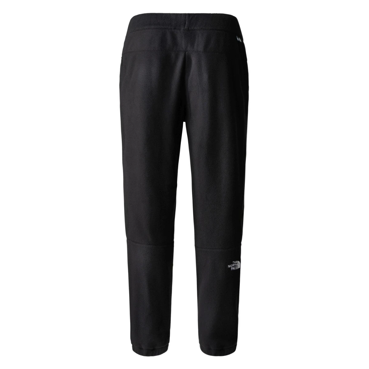 The North Face Erkek 100 GLACIER PANTOLON