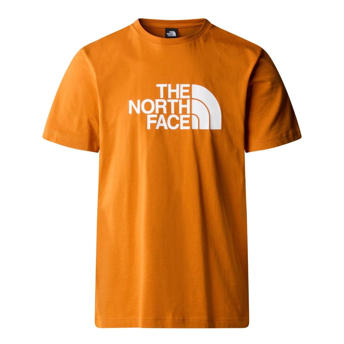 The North Face M S/S EASY TEE Erkek T-Shirt