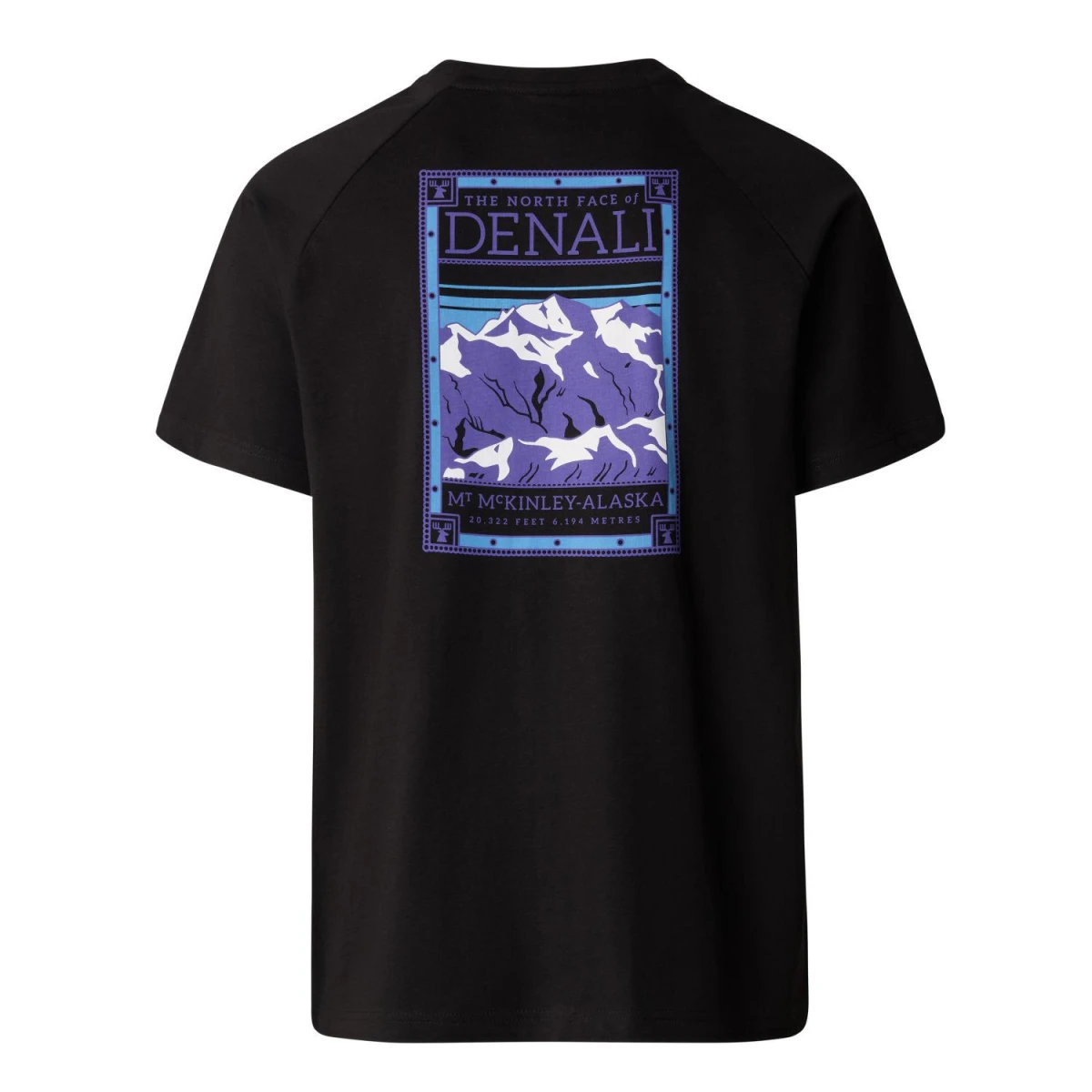 The North Face M S/S NORTH FACES TEE Erkek T-Shirt
