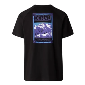 The North Face M S/S NORTH FACES TEE Erkek T-Shirt