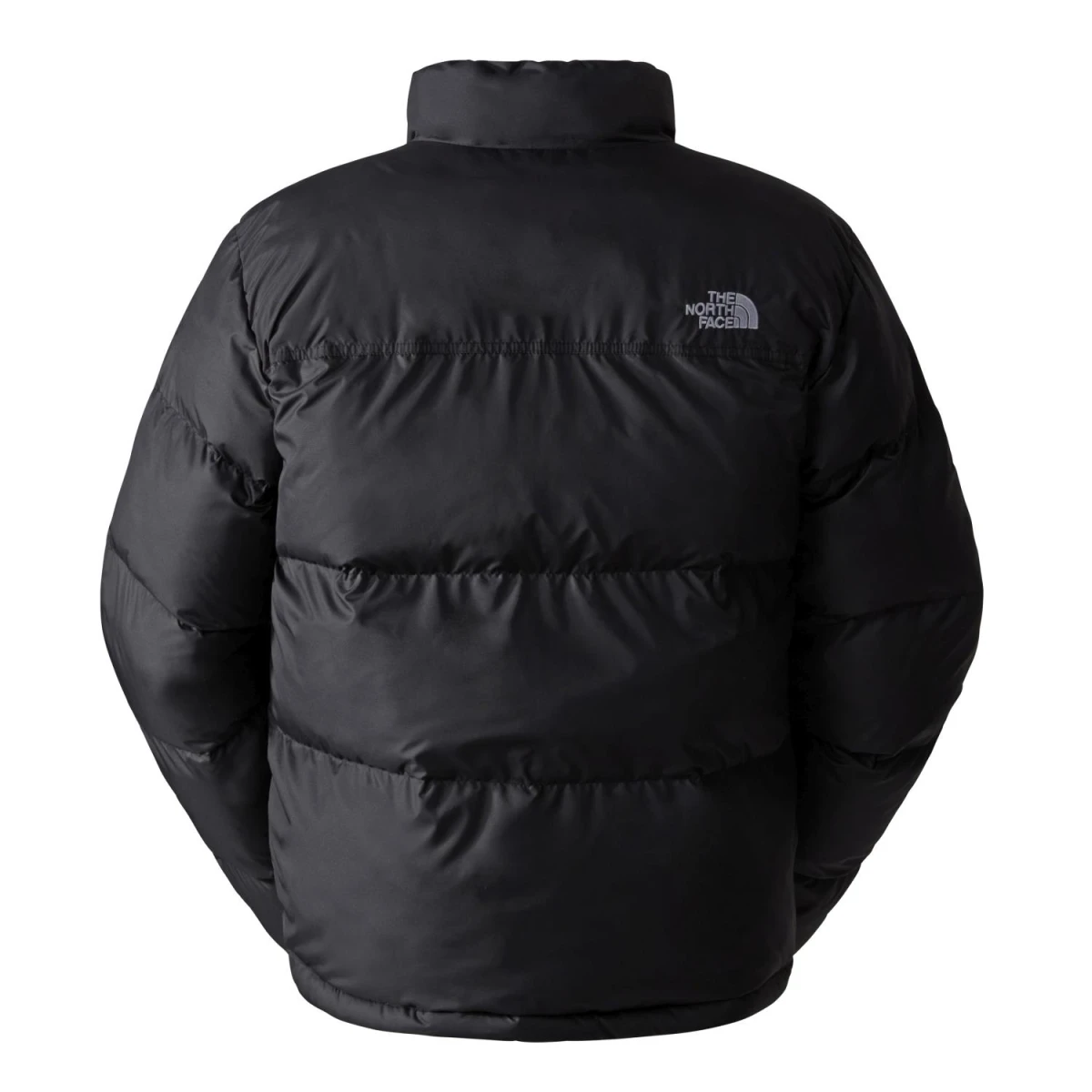 The North Face Erkek SAIKURU CEKET