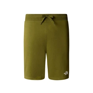 The North Face M STANDARD SHORT LIGHT-EU Erkek Şort