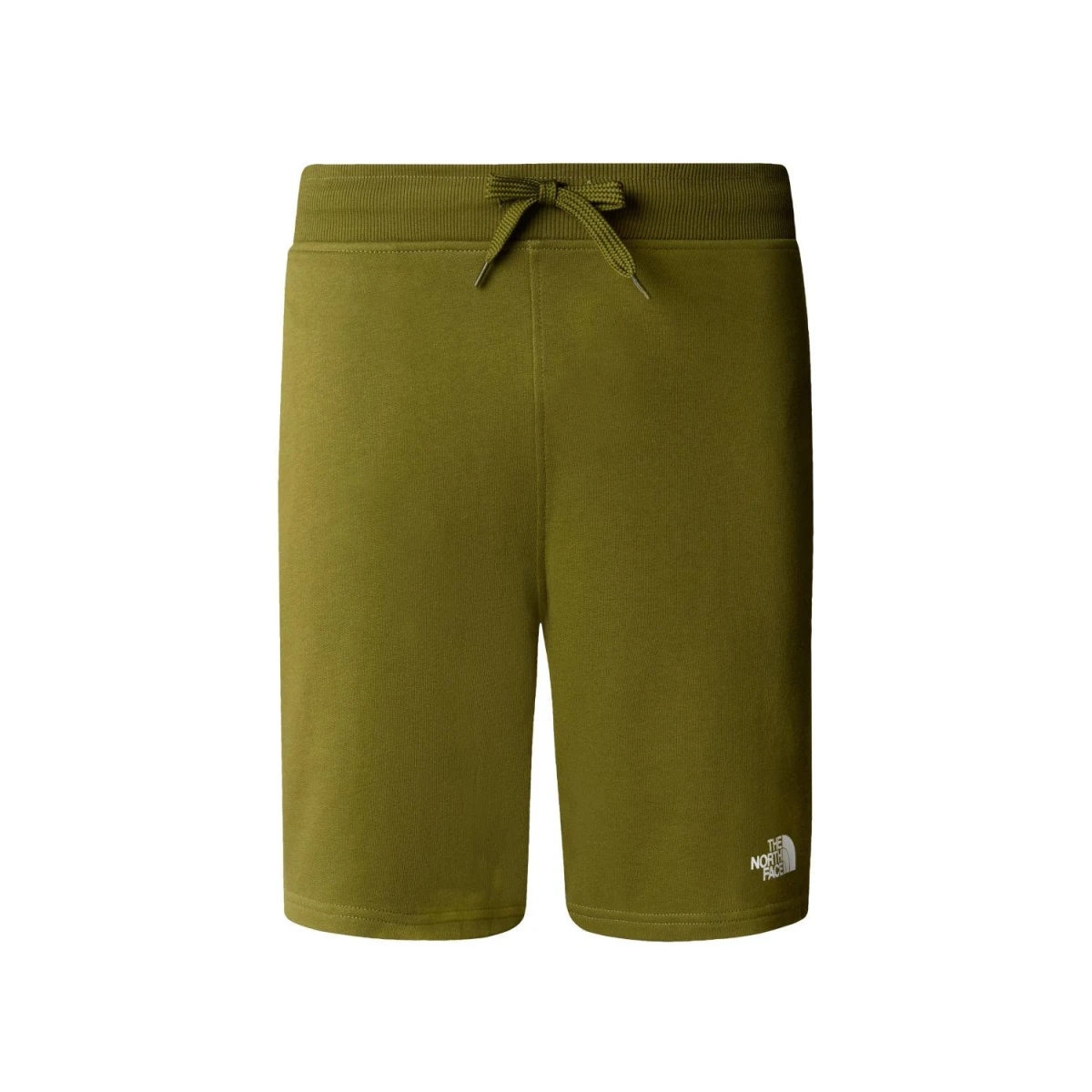 The North Face M STANDARD SHORT LIGHT-EU Erkek Şort