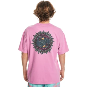 Quıksılver SPIN CYCLE SS Erkek T-shirt