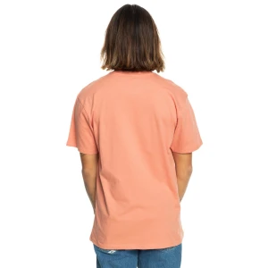 Quıksılver TROPICAL RAINBOW SS Erkek T-shirt