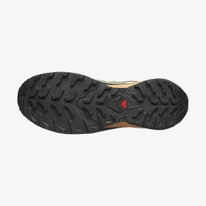 Salomon X-ADVENTURE GTX Ayakkabı