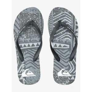 Quiksilver MOLOKAI ART Erkek Terlik