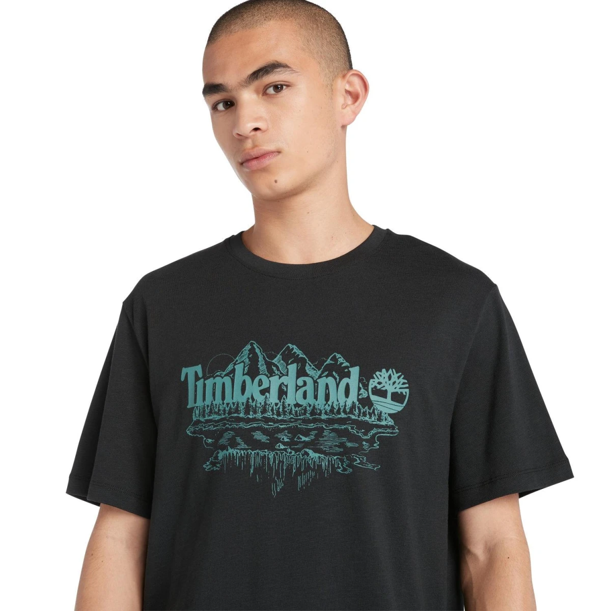Timberland Short Sleeve Graphic Slub Tee Erkek T-Shirt