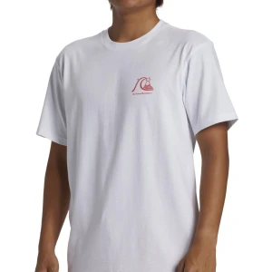 Quıksılver THE ORIGINAL BOARDSHORT MOR Erkek T-shirt