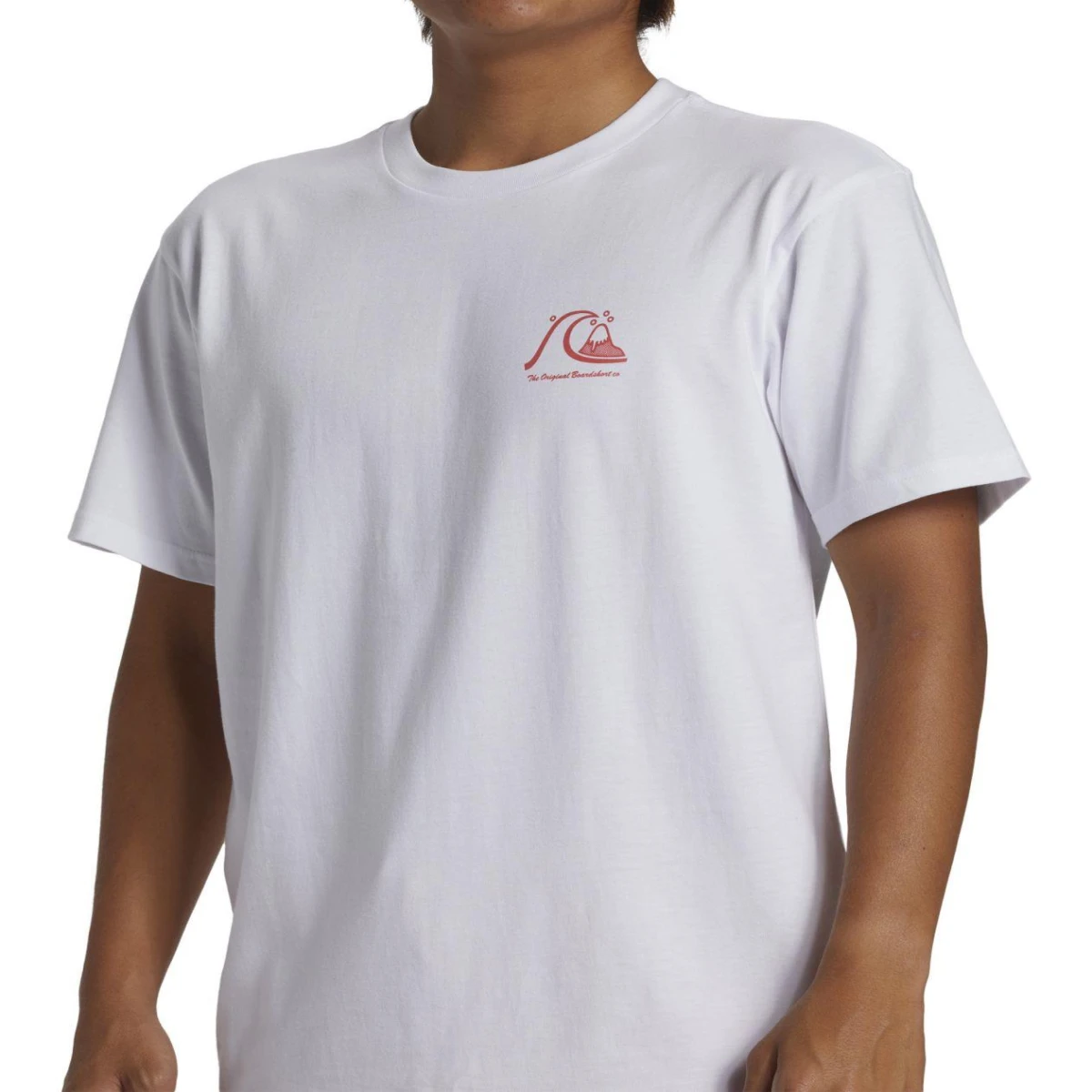Quıksılver THE ORIGINAL BOARDSHORT MOR Erkek T-shirt