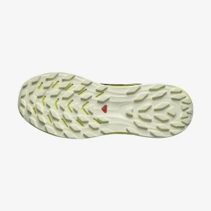 Salomon ULTRA FLOW Erkek Ayakkabısı