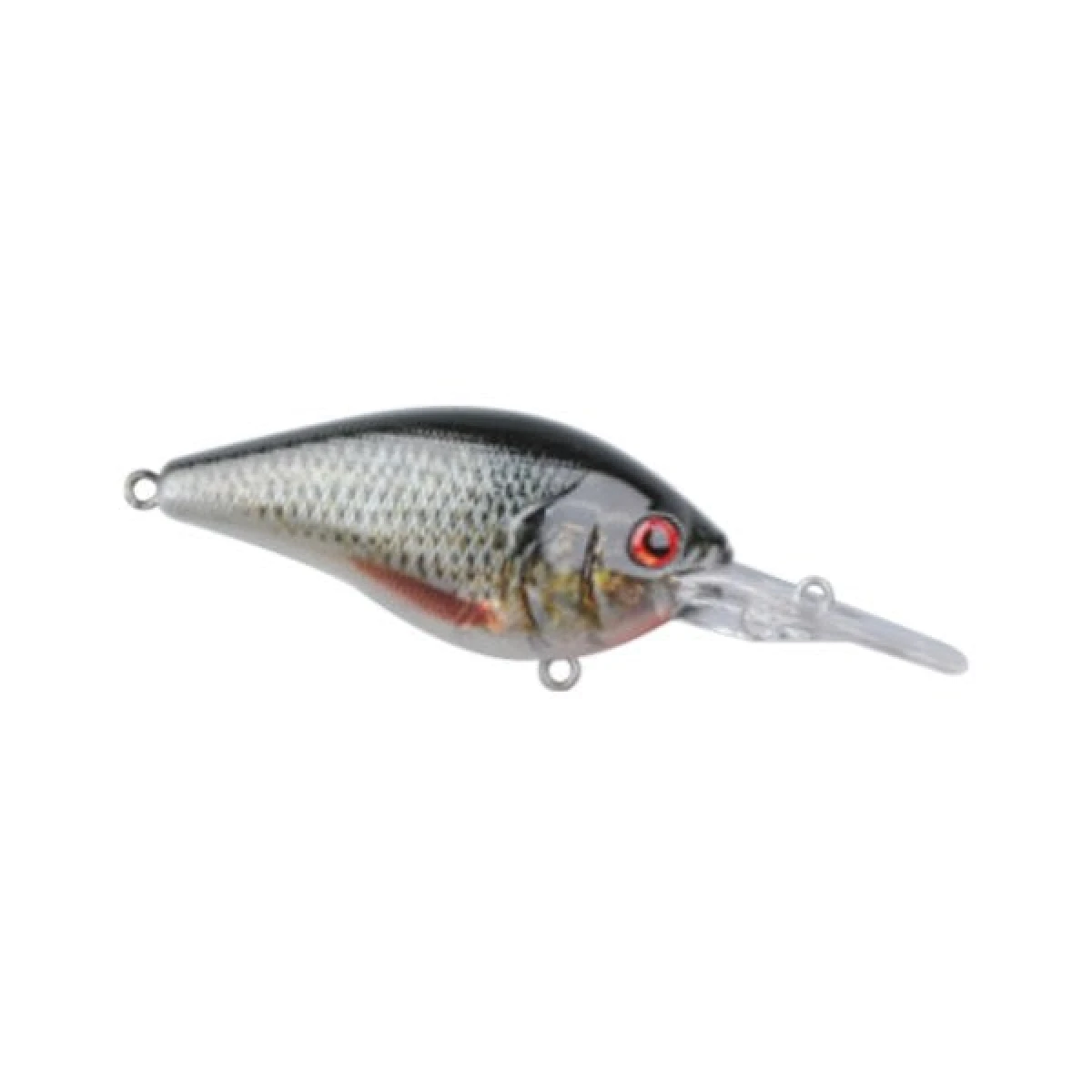 SPRO Ikiru Chrome Crank SL 6 cm Maket Yem SFL ROACH