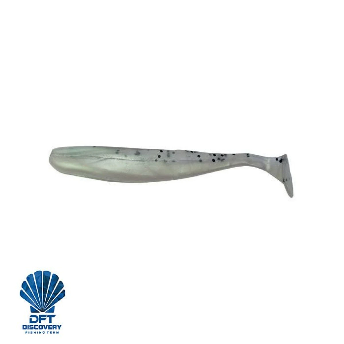 D. DFT Sasi 10 cm 5 g İğnesiz 1/25