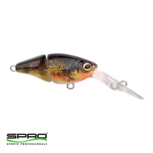 SPRO IKIRU NATURALS DOUBLE CRANK 35 PERCH  1/3
