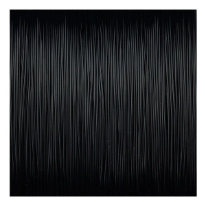 SPRO CTEC CARP BLACK 0.28/6.5kg 400m 1/5