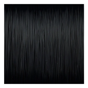 SPRO CTEC CARP BLACK 0.28/6.5kg 400m 1/5