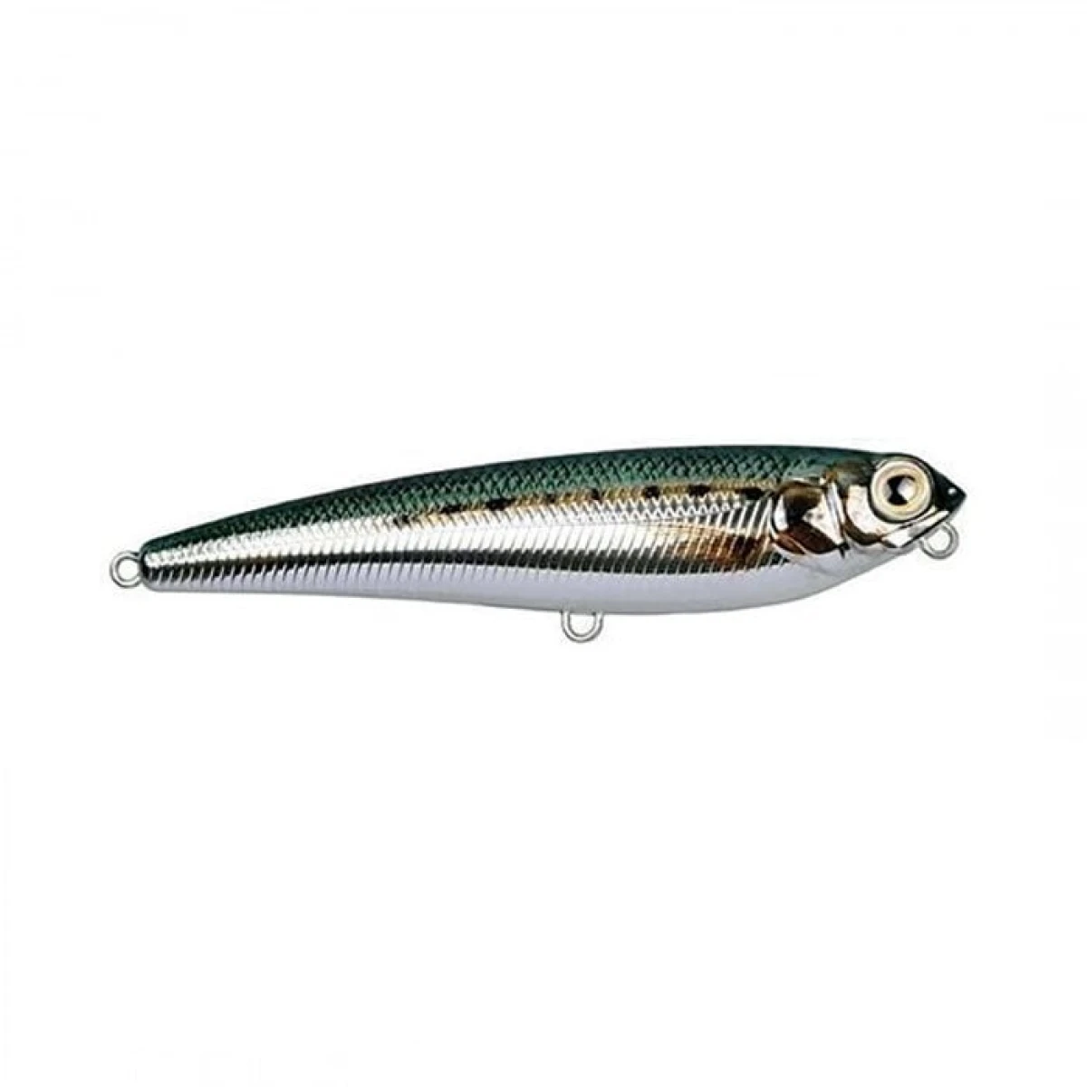 SPRO Ikiru Pop 115 Maket Yem SARDINE
