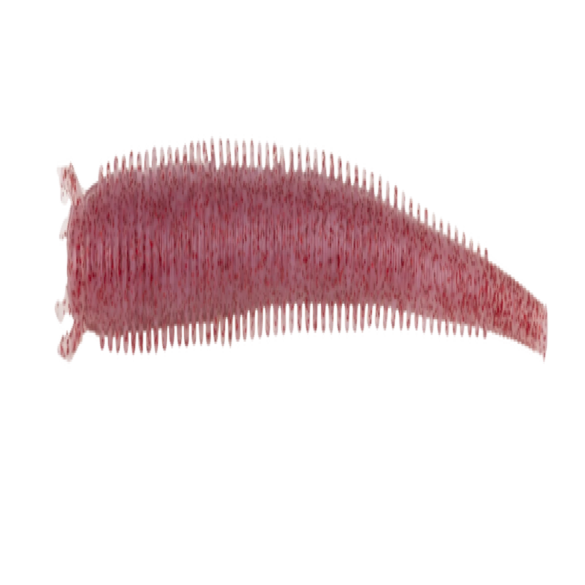 Berkley Gulp Saltwater Fat Sandworm Sahte Kurt CLEAR RED FLECK 10CM