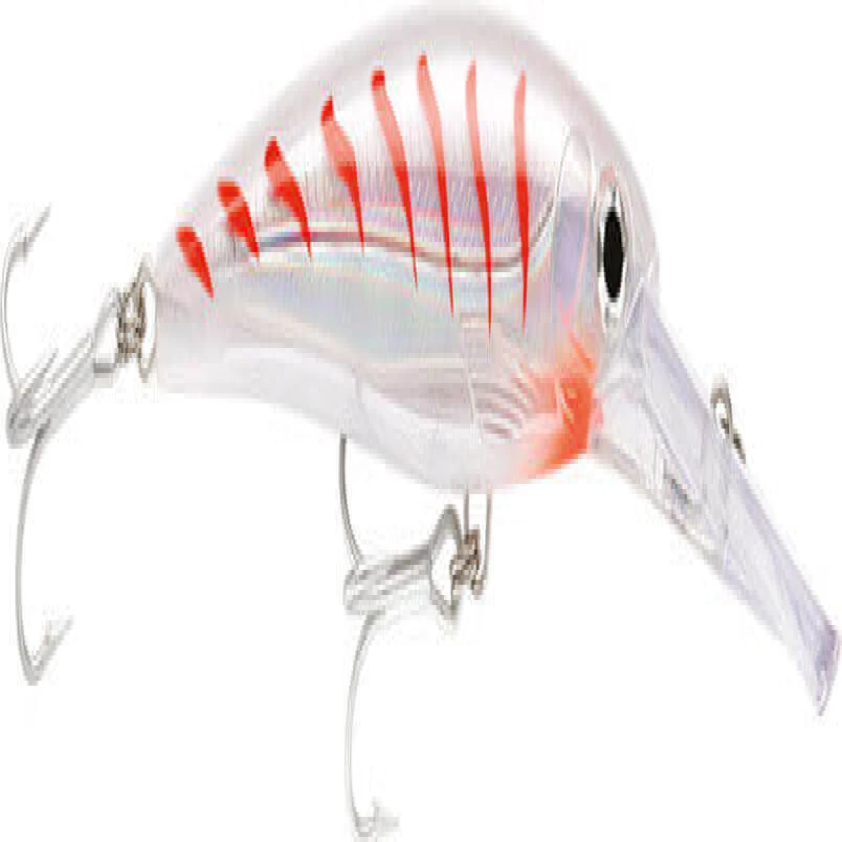 Rapala X-Rap Magnum Sahte Balığı CG 140mm