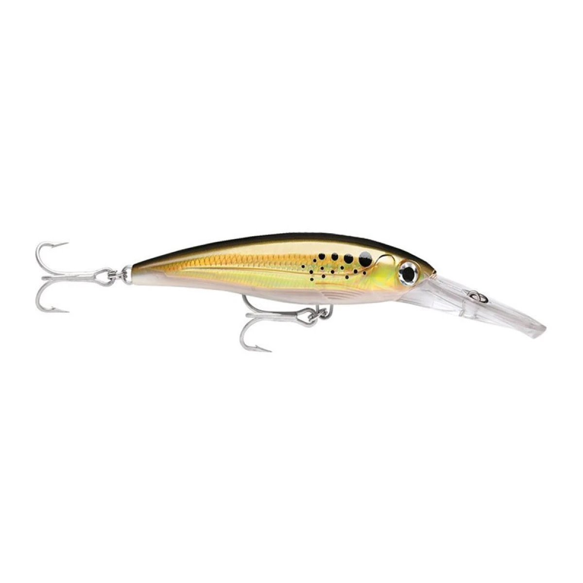 Rapala X-Rap Magnum Sahte Balığı BNK 120mm